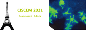 CISCEM 2021 - Hybrid Conference on In-Situ and Correlative Electron Microscopy